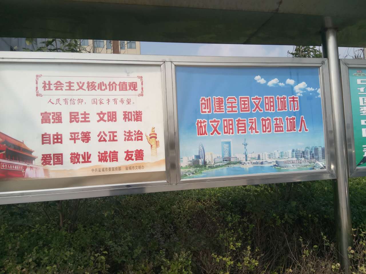 16.jpg