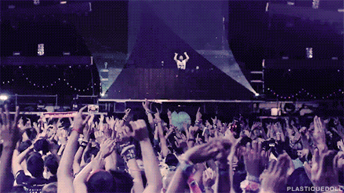 0 (5).gif