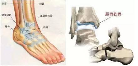 135113gnqmo89ccq8hw0zm.jpg.thumb.jpg