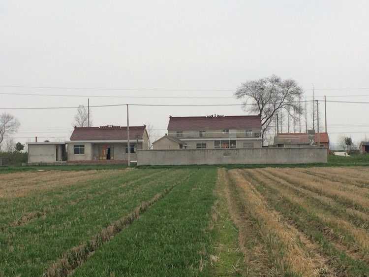 46.jpg
