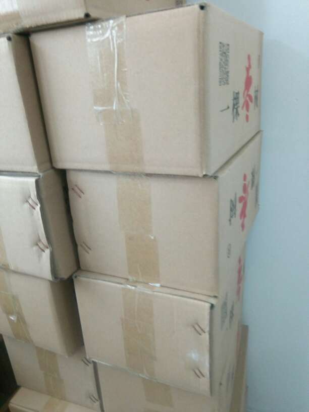 075850pgps3plh0gaa3djg.jpg