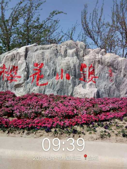 083146r7k7m27mdz4xuj77.jpg.thumb.jpg