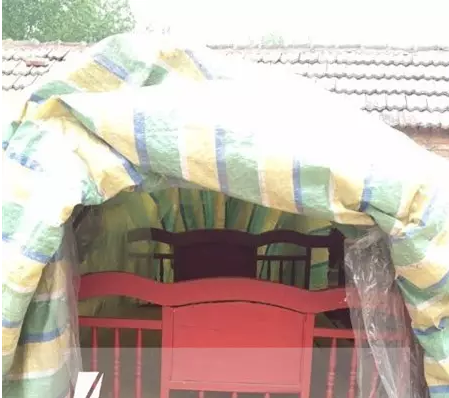 113528cv6nramzw6mavvz4.png.thumb.jpg