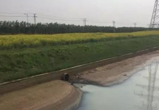 083407lpf73p6y76crlcf2.png.thumb.jpg