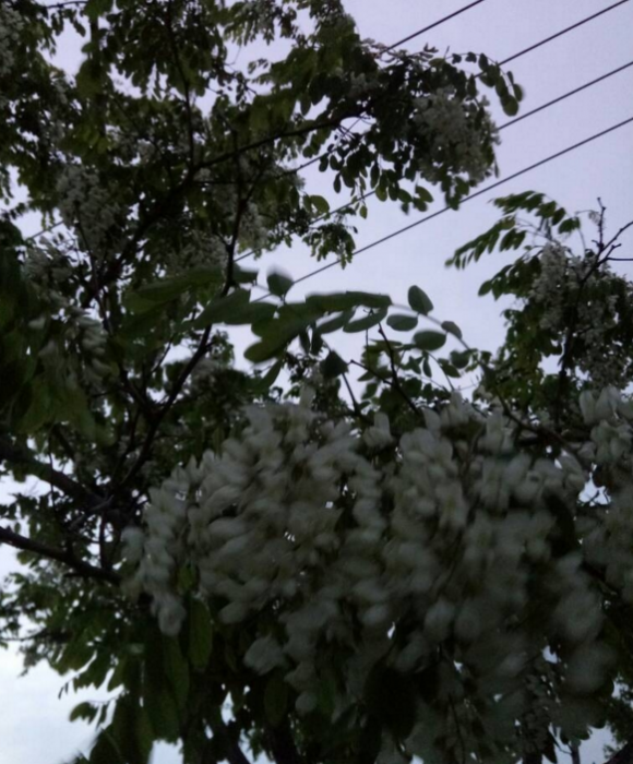 091827j4664m7ix8fcx4jn.png.thumb.jpg