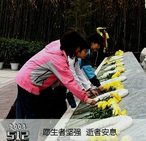 QQ图片20170512070829.jpg