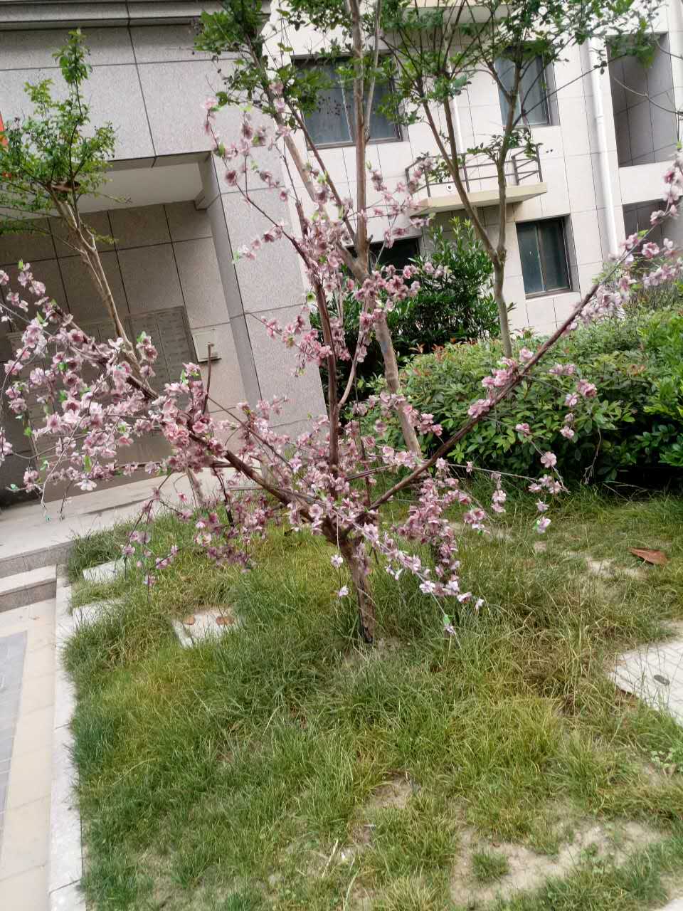 微信图片002.jpg