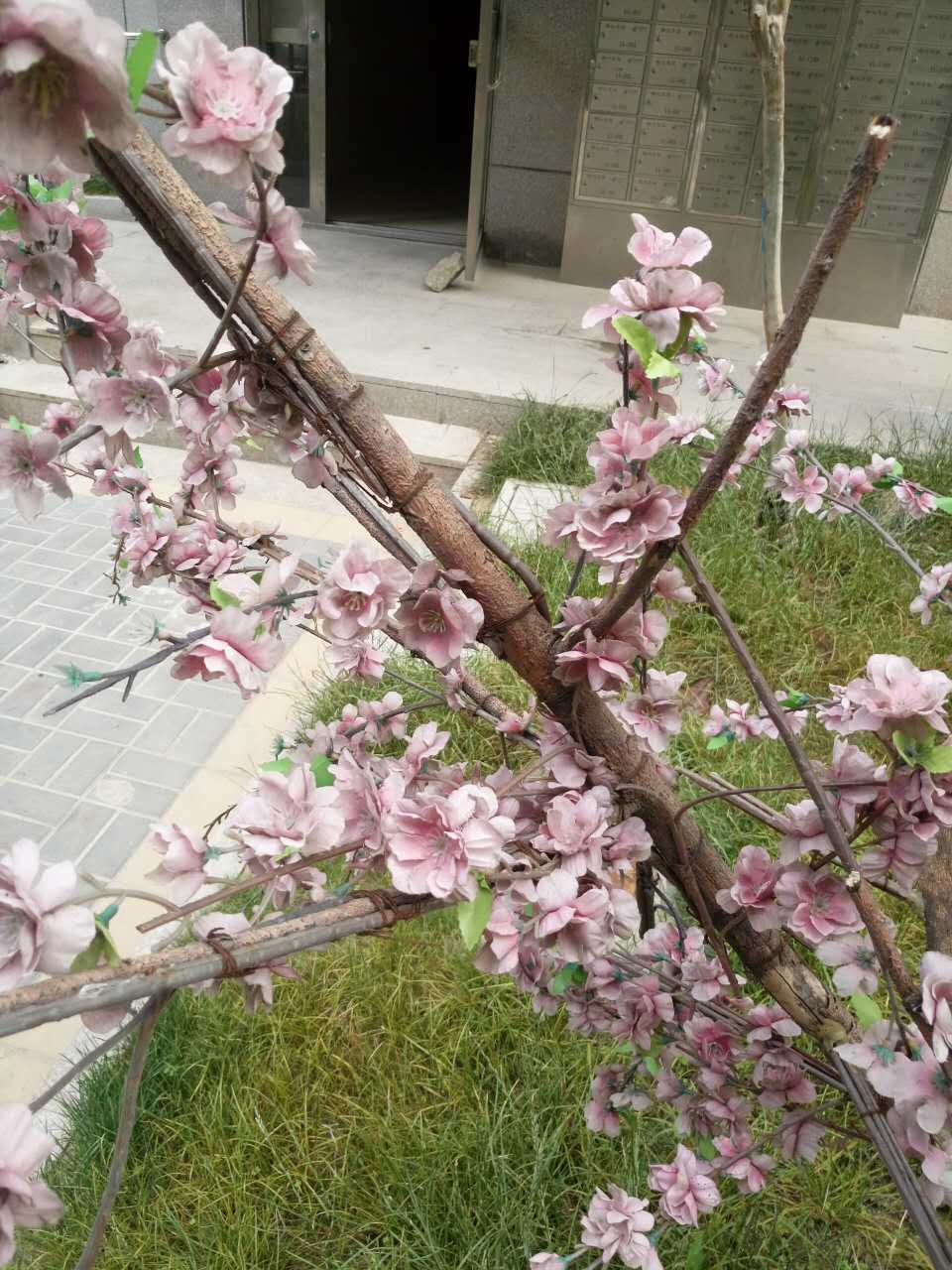 微信图片_003.jpg