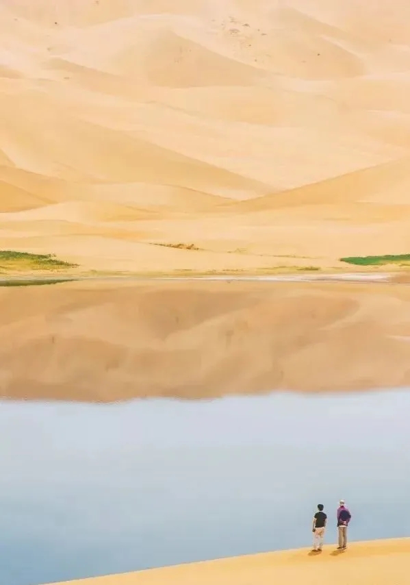 5.webp.jpg